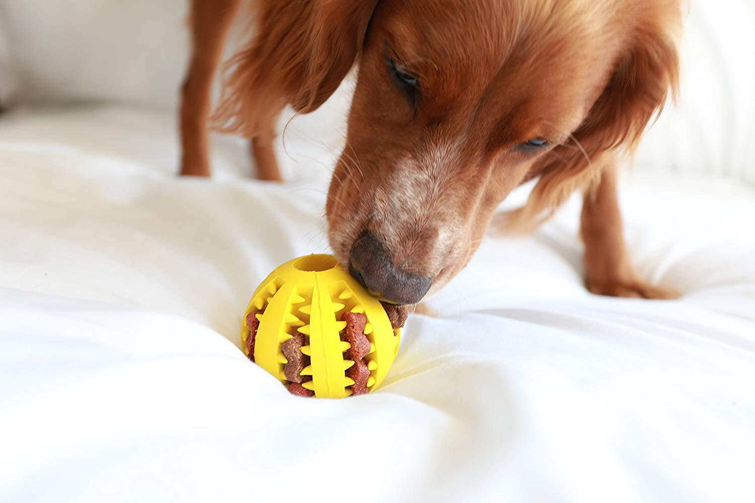 Wholesale Pet Rubber Bite-Resistant Molar Tooth Cleaning Watermelon Ball Dog Toy Small Medium Large plus-Sized Size Multi-Color Optional Wholesale Pet Rubber Bite-Resistant Molar Tooth Cleaning Watermelon Ball Dog Toy Small Medium Large plus-Sized Size Multi-Color Optional