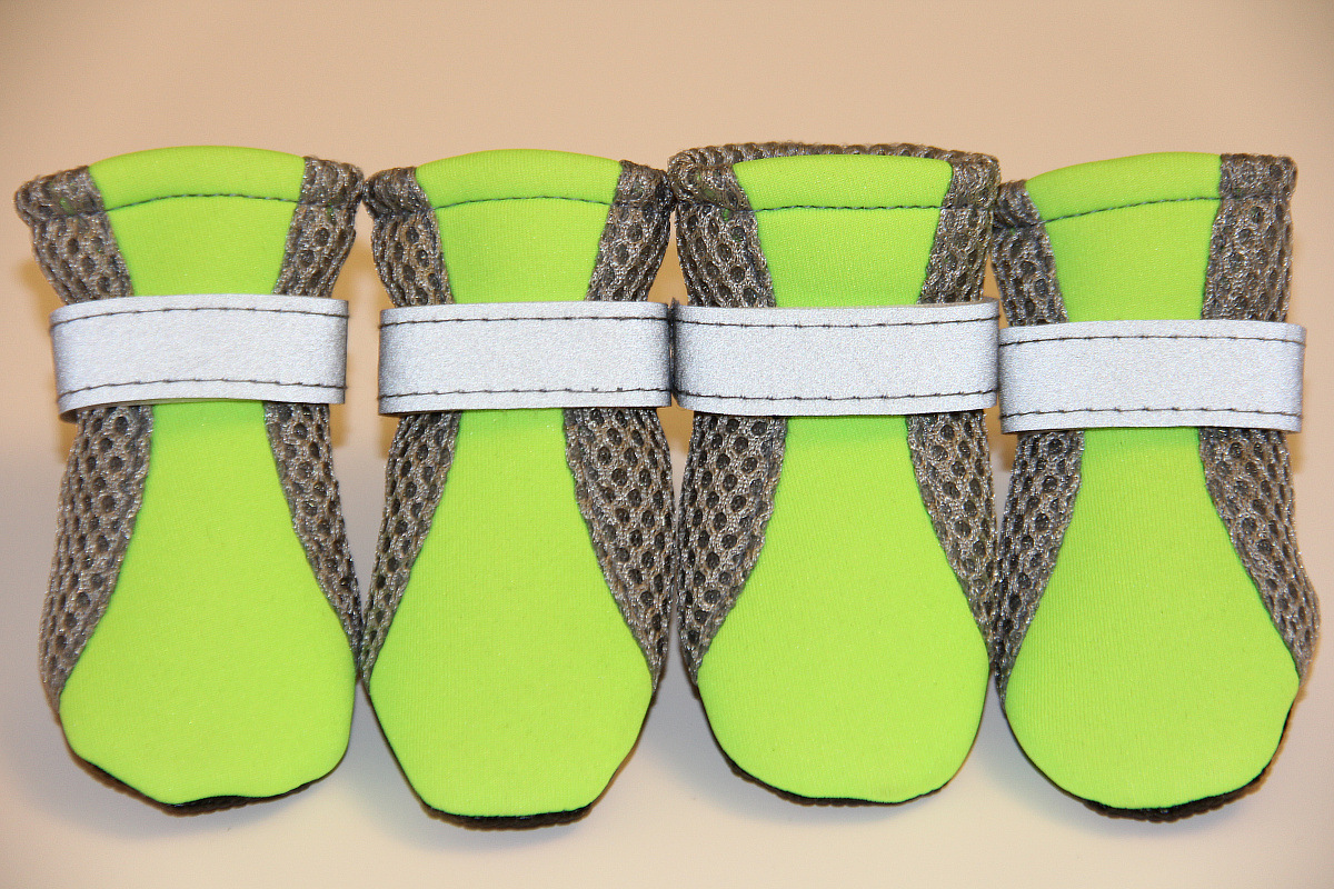 Dog Dog Shoes Pet Shoes Teddy Puppy Dog Shoes Dog Shoes Dog Shoes Soft Bottom Walking Running Dog Shoes Wholesale Factory Direct Supply Dog Dog Shoes Pet Shoes Teddy Puppy Dog Shoes Dog Shoes Dog Shoes Soft Bottom Walking Running Dog Shoes Wholesale Factory Direct Supply