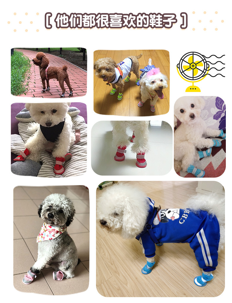 Summer Breathable Puppy Dog Shoes Mesh Sandals Teddy VIP Pomeranian Small Dog Pet Shoes Dog Shoes 4