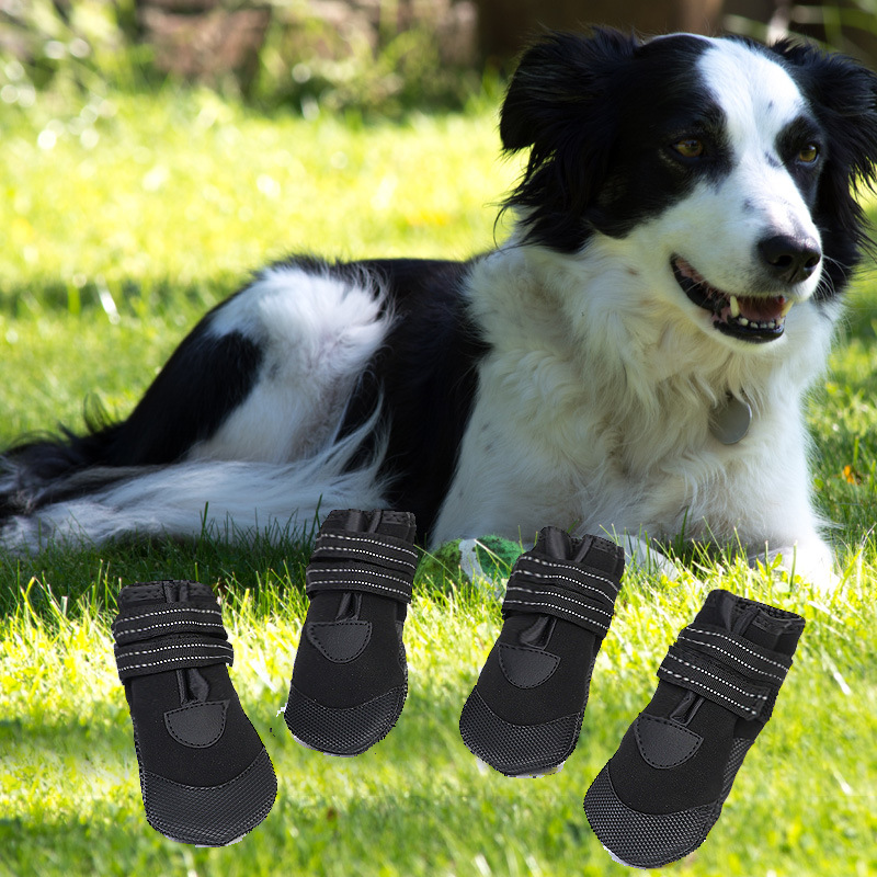Lambo pet supplies new dog shoes luminous waterproof husky golden fur than bear pet shoes manufacturers direct sales