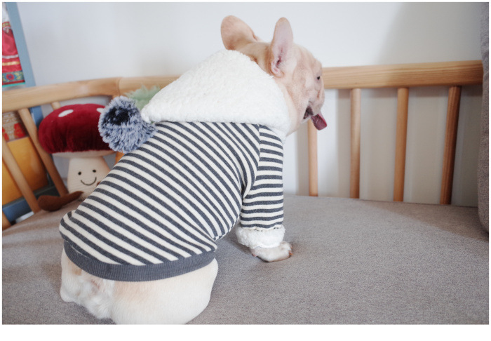 New Pet Clothes Dog Fall and Winter Clothes Pure Cotton Knitted Fleece Hooded Sweater French Bulldog Clothes Chenarui New Pet Clothes Dog Fall and Winter Clothes Pure Cotton Knitted Fleece Hooded Sweater French Bulldog Clothes Chenarui