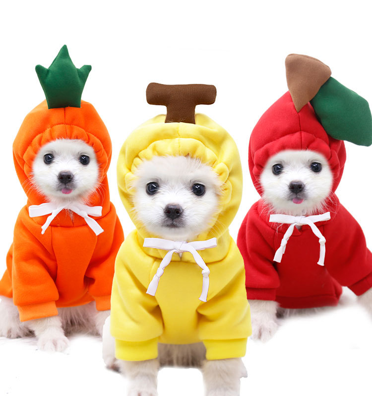 Fruit Dog Cat Small Medium and Large Dogs Autumn Winter Sweater Fleece Clothing Supplies Pet TeddyFrench Bulldog