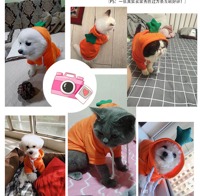 Fruit Dog Cat Small Medium and Large Dogs Autumn Winter Sweater Fleece Clothing Supplies Pet TeddyFrench Bulldog Fruit Dog Cat Small Medium and Large Dogs Autumn Winter Sweater Fleece Clothing Supplies Pet TeddyFrench Bulldog