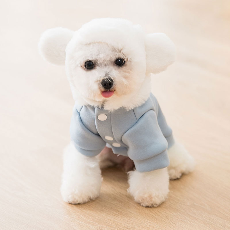 New Dog Clothes Autumn Winter Sweater Teddy Bear Small and Medium-Sized Dogs Puppy Cat Hooded Autumn Pet Clothing