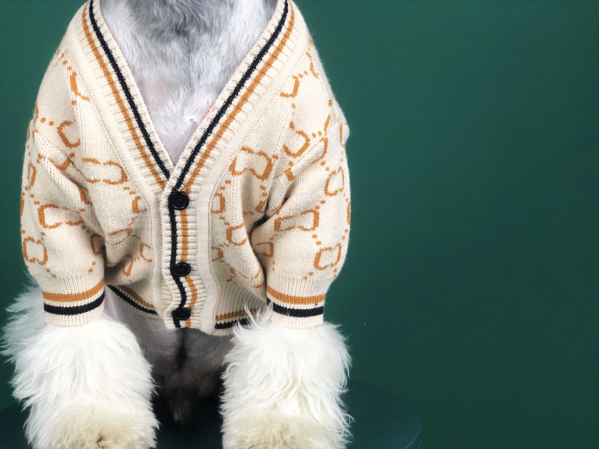 Dog Clothes Autumn Chenery Fadou Teddy Bago Cat Sweater Keji Spring Pet Clothes Dog Clothes Autumn Chenery Fadou Teddy Bago Cat Sweater Keji Spring Pet Clothes