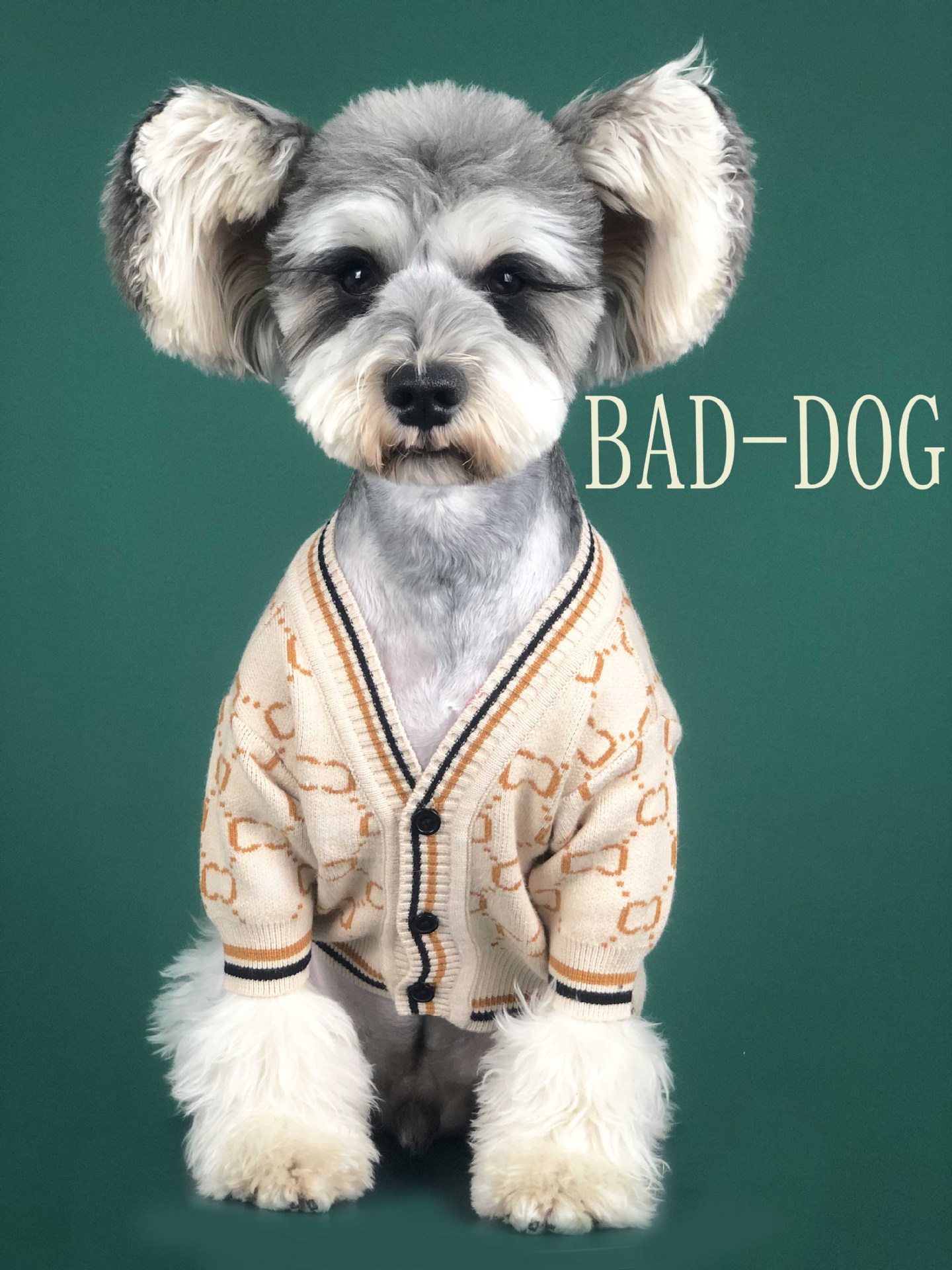 Dog Clothes Autumn Chenery Fadou Teddy Bago Cat Sweater Keji Spring Pet Clothes Dog Clothes Autumn Chenery Fadou Teddy Bago Cat Sweater Keji Spring Pet Clothes