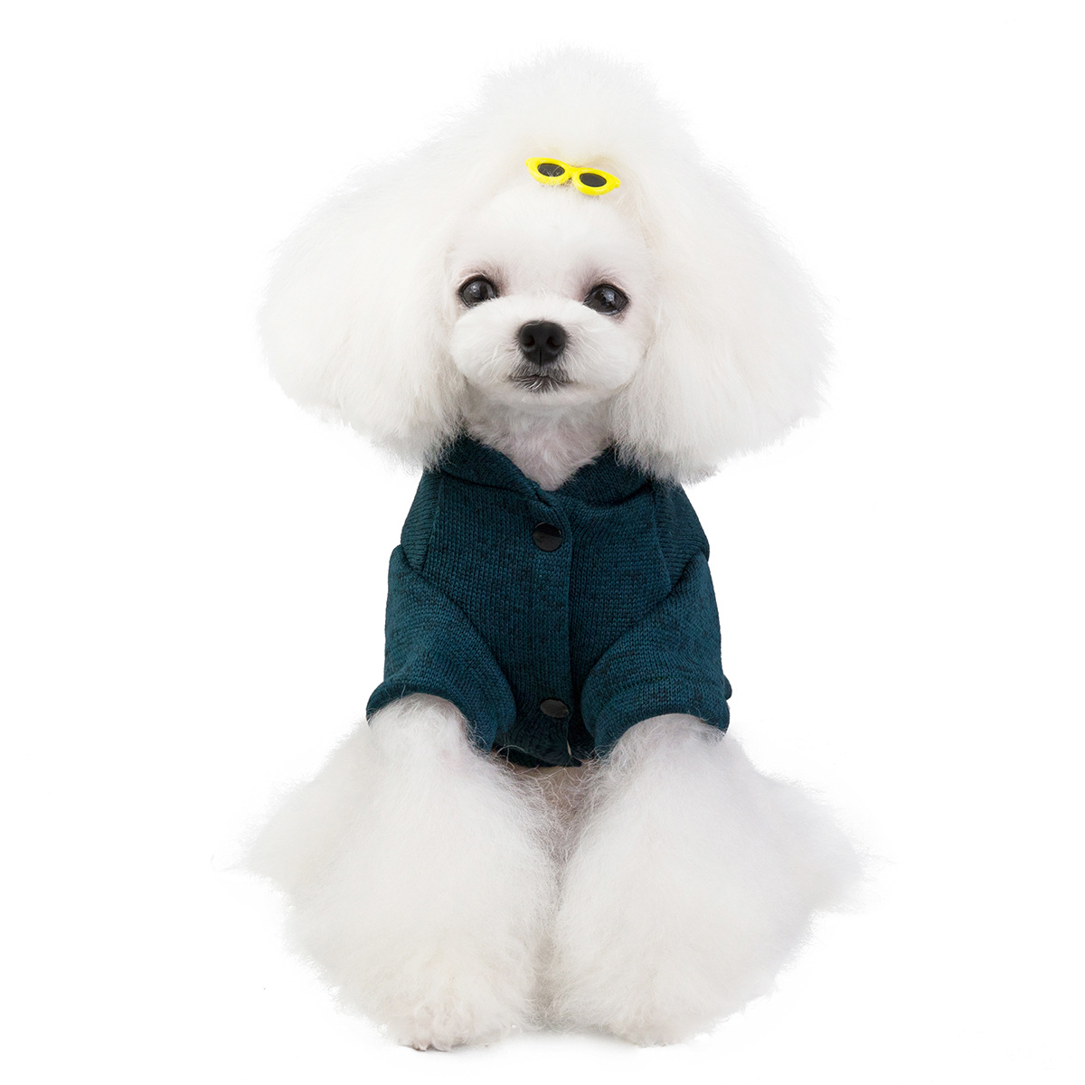 Pet Kitty Dog Clothes Clothing Supplies Teddy Autumn and Winter New Products in Stock Wholesale 19 Hat with Glasses Sweater Pet Kitty Dog Clothes Clothing Supplies Teddy Autumn and Winter New Products in Stock Wholesale 19 Hat with Glasses Sweater
