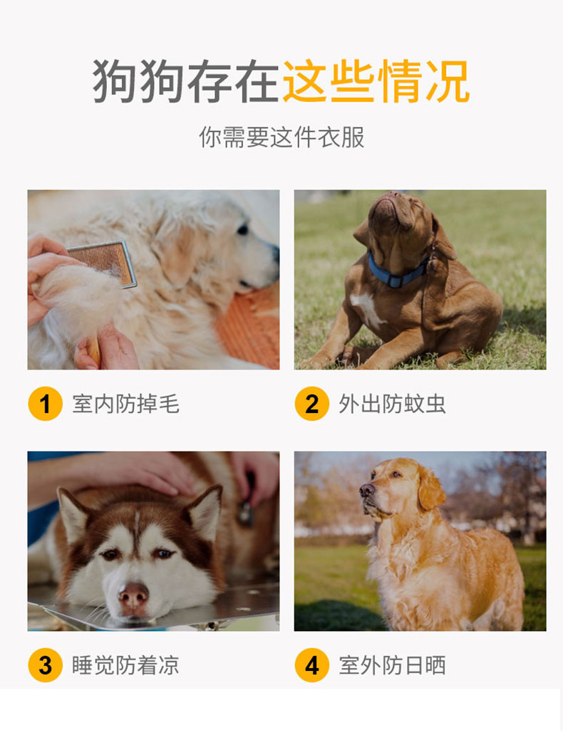 Big Dog Vest Spring and Summer Thin Breathable Golden Hair Samo Pet Two-legged T-shirt Sweater Medium Large Dog Clothes Big Dog Vest Spring and Summer Thin Breathable Golden Hair Samo Pet Two-legged T-shirt Sweater Medium Large Dog Clothes