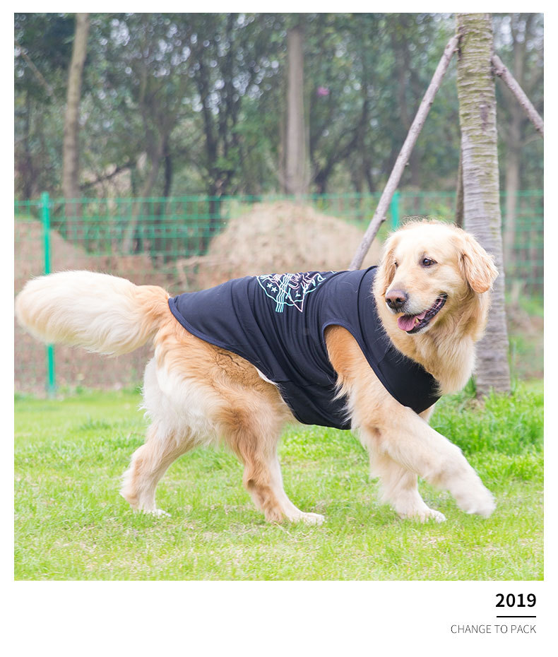 Big Dog Vest Spring and Summer Thin Breathable Golden Hair Samo Pet Two-legged T-shirt Sweater Medium Large Dog Clothes Big Dog Vest Spring and Summer Thin Breathable Golden Hair Samo Pet Two-legged T-shirt Sweater Medium Large Dog Clothes