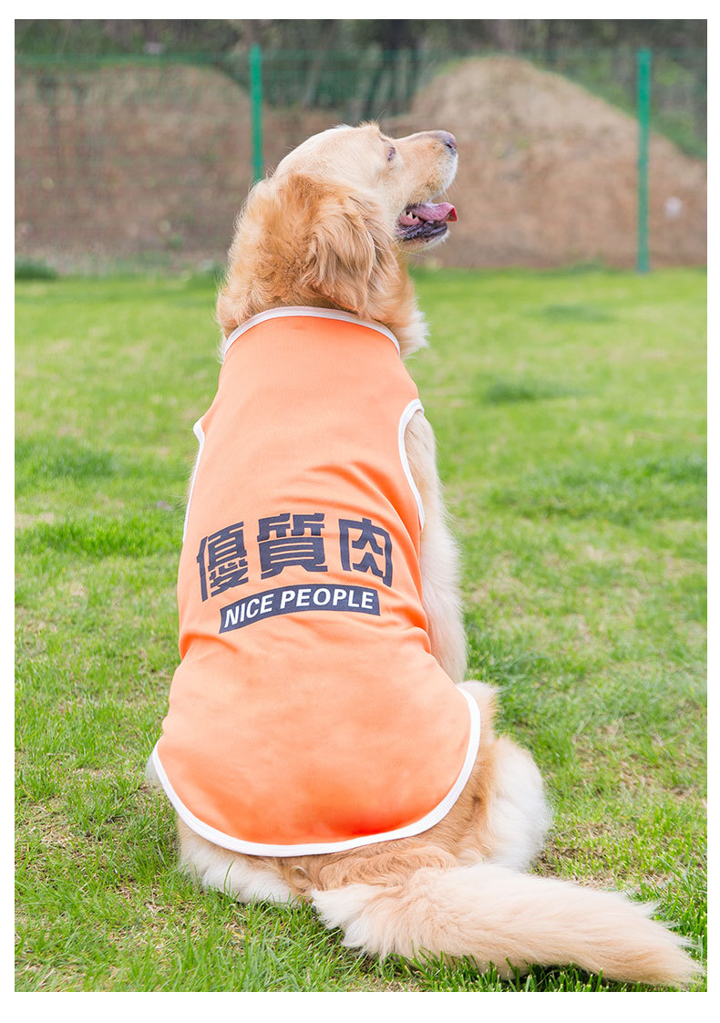 Big Dog Vest Spring and Summer Thin Breathable Golden Hair Samo Pet Two-legged T-shirt Sweater Medium Large Dog Clothes Big Dog Vest Spring and Summer Thin Breathable Golden Hair Samo Pet Two-legged T-shirt Sweater Medium Large Dog Clothes