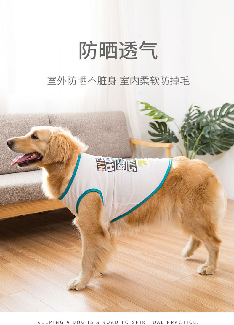 Big Dog Vest Spring and Summer Thin Breathable Golden Hair Samo Pet Two-legged T-shirt Sweater Medium Large Dog Clothes Big Dog Vest Spring and Summer Thin Breathable Golden Hair Samo Pet Two-legged T-shirt Sweater Medium Large Dog Clothes