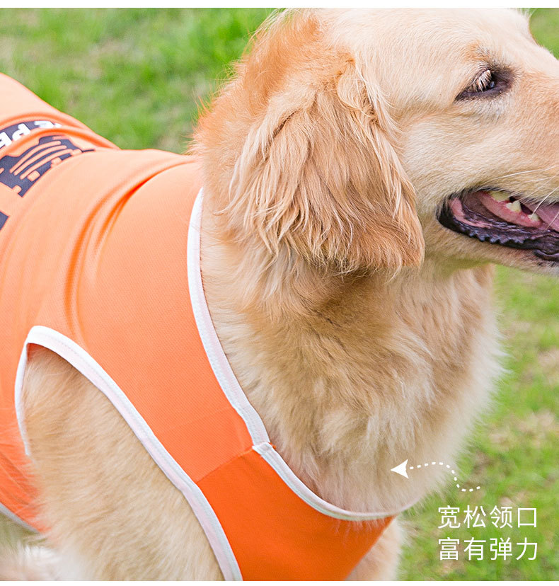 Big Dog Vest Spring and Summer Thin Breathable Golden Hair Samo Pet Two-legged T-shirt Sweater Medium Large Dog Clothes Big Dog Vest Spring and Summer Thin Breathable Golden Hair Samo Pet Two-legged T-shirt Sweater Medium Large Dog Clothes