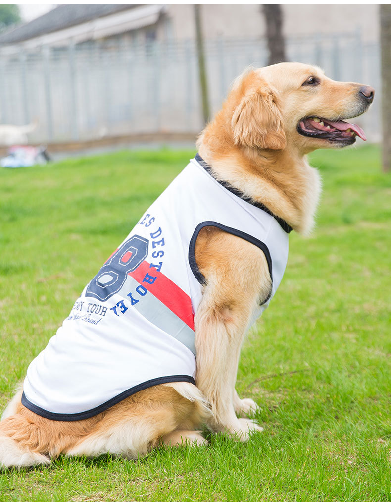 Big Dog Vest Spring and Summer Thin Breathable Golden Hair Samo Pet Two-legged T-shirt Sweater Medium Large Dog Clothes Big Dog Vest Spring and Summer Thin Breathable Golden Hair Samo Pet Two-legged T-shirt Sweater Medium Large Dog Clothes