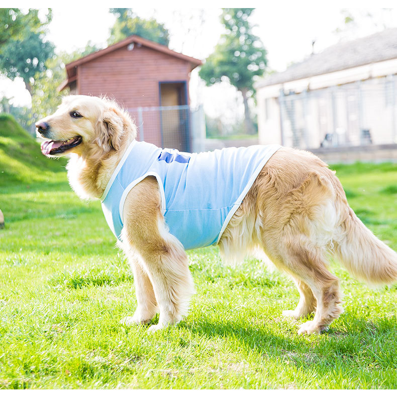 Big Dog Vest Spring and Summer Thin Breathable Golden Hair Samo Pet Two-legged T-shirt Sweater Medium Large Dog Clothes Big Dog Vest Spring and Summer Thin Breathable Golden Hair Samo Pet Two-legged T-shirt Sweater Medium Large Dog Clothes