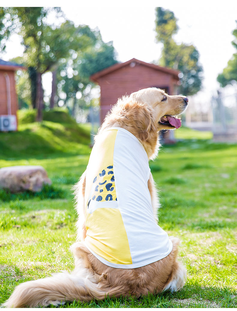 Big Dog Vest Spring and Summer Thin Breathable Golden Hair Samo Pet Two-legged T-shirt Sweater Medium Large Dog Clothes Big Dog Vest Spring and Summer Thin Breathable Golden Hair Samo Pet Two-legged T-shirt Sweater Medium Large Dog Clothes
