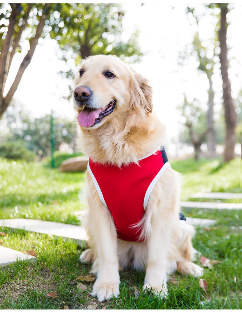 Big Dog Vest Spring and Summer Thin Breathable Golden Hair Samo Pet Two-legged T-shirt Sweater Medium Large Dog Clothes Big Dog Vest Spring and Summer Thin Breathable Golden Hair Samo Pet Two-legged T-shirt Sweater Medium Large Dog Clothes