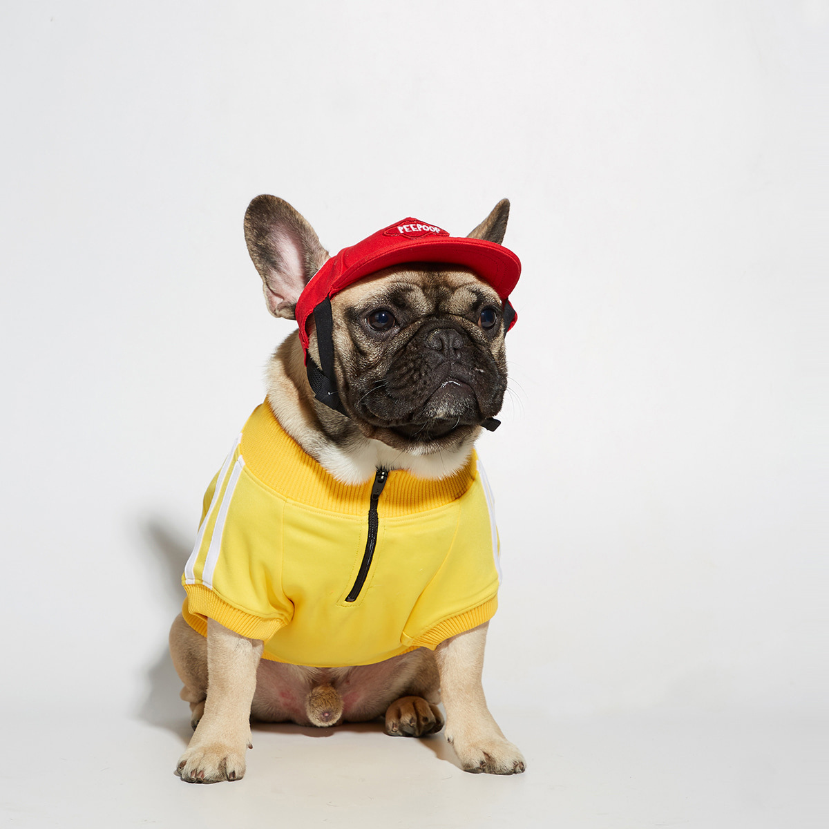 Keji Schenery Fadou Pet Popular Brand Three Bars Dog Pattern Sweater Spoof Autumn and Winter Sports Dog Clothes