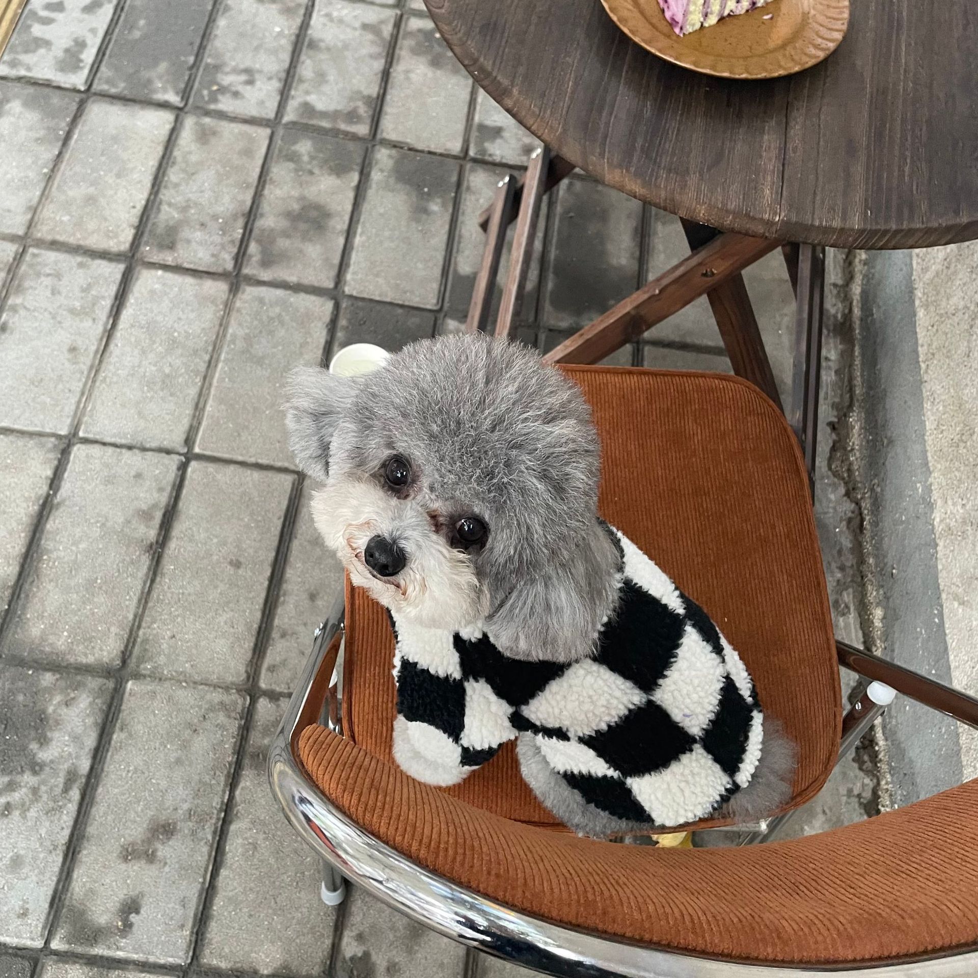 Autumn and Winter Dog Clothes Wholesale Chessboard Grid Bichon Teddy Schnauzer Cat Fur Coat Pet Dog Dog Sweater Autumn and Winter Dog Clothes Wholesale Chessboard Grid Bichon Teddy Schnauzer Cat Fur Coat Pet Dog Dog Sweater