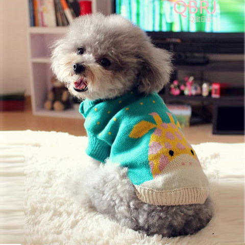 Pet Clothes Dog Sweater Autumn and Winter New Two-Legged Pet Clothes Warm Small Sweater Cat Dog Clothes