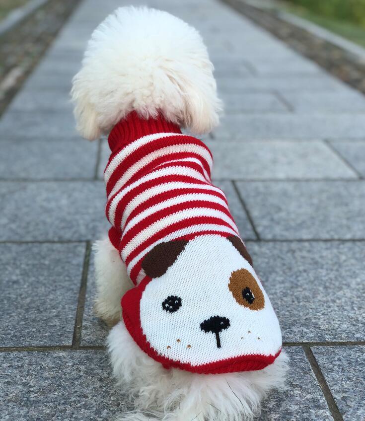 Pet Clothes Dog Sweater Autumn and Winter New Two-Legged Pet Clothes Warm Small Sweater Cat Dog Clothes Pet Clothes Dog Sweater Autumn and Winter New Two-Legged Pet Clothes Warm Small Sweater Cat Dog Clothes