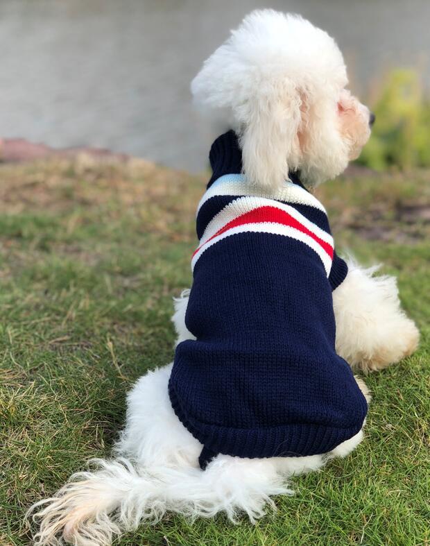 Pet Clothes Dog Sweater Autumn and Winter New Two-Legged Pet Clothes Warm Small Sweater Cat Dog Clothes Pet Clothes Dog Sweater Autumn and Winter New Two-Legged Pet Clothes Warm Small Sweater Cat Dog Clothes