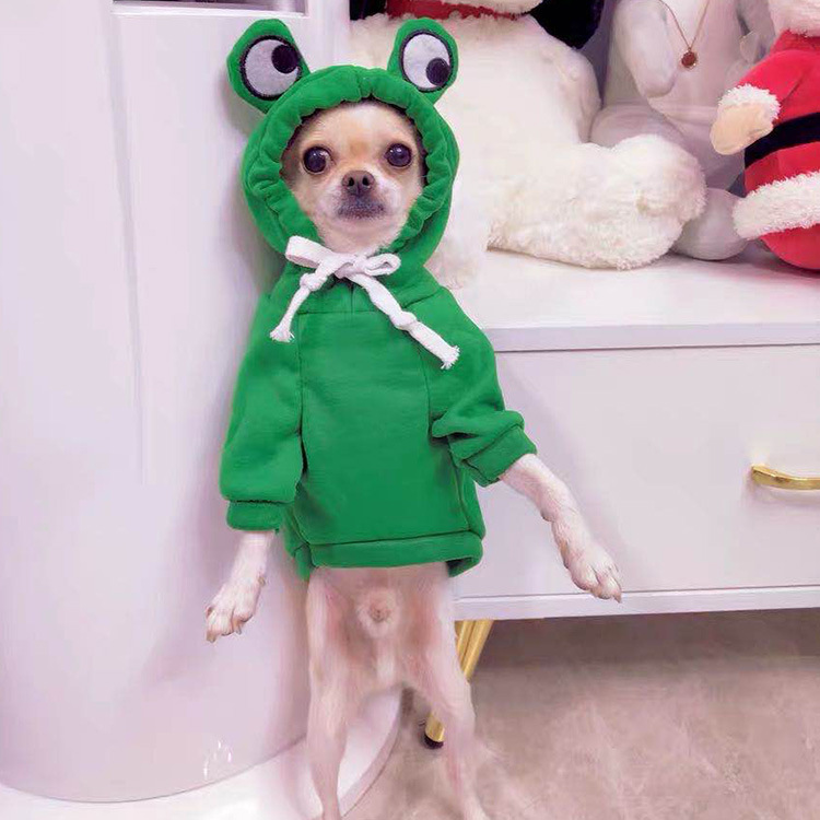 Fruit Transformation Dog Cat Small Medium Large Dog Autumn Winter Sweater Fleece Clothing Supplies Pet Teddy Jarre Aero Bull Fruit Transformation Dog Cat Small Medium Large Dog Autumn Winter Sweater Fleece Clothing Supplies Pet Teddy Jarre Aero Bull