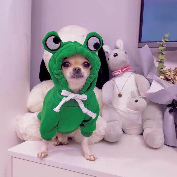 Fruit Transformation Dog Cat Small Medium Large Dog Autumn Winter Sweater Fleece Clothing Supplies Pet Teddy Jarre Aero Bull Fruit Transformation Dog Cat Small Medium Large Dog Autumn Winter Sweater Fleece Clothing Supplies Pet Teddy Jarre Aero Bull