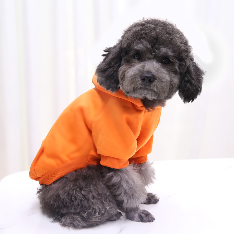 Autumn and Winter Sweater Denim Pocket Two-legged Clothes Sporty Pet Clothes Dog Cat Clothes Pet Supplies Autumn and Winter Sweater Denim Pocket Two-legged Clothes Sporty Pet Clothes Dog Cat Clothes Pet Supplies