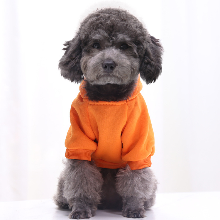 Autumn and Winter Sweater Denim Pocket Two-legged Clothes Sporty Pet Clothes Dog Cat Clothes Pet Supplies Autumn and Winter Sweater Denim Pocket Two-legged Clothes Sporty Pet Clothes Dog Cat Clothes Pet Supplies