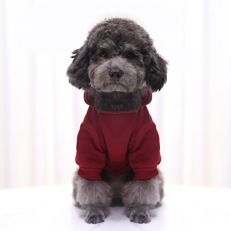 Autumn and Winter Sweater Denim Pocket Two-legged Clothes Sporty Pet Clothes Dog Cat Clothes Pet Supplies Autumn and Winter Sweater Denim Pocket Two-legged Clothes Sporty Pet Clothes Dog Cat Clothes Pet Supplies