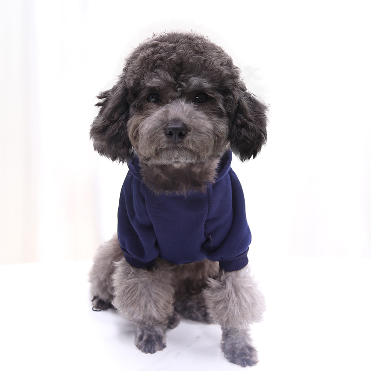 Autumn and Winter Sweater Denim Pocket Two-legged Clothes Sporty Pet Clothes Dog Cat Clothes Pet Supplies Autumn and Winter Sweater Denim Pocket Two-legged Clothes Sporty Pet Clothes Dog Cat Clothes Pet Supplies