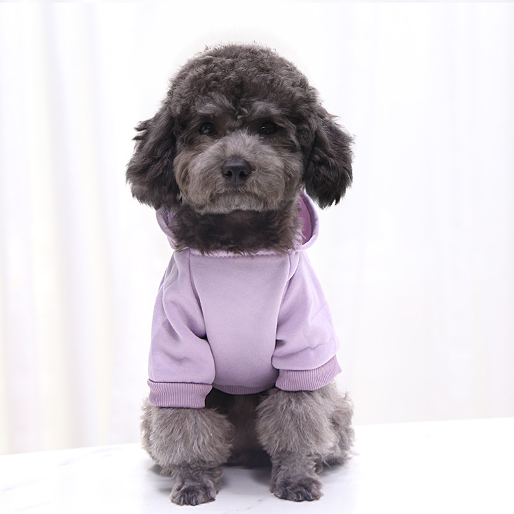 Autumn and Winter Sweater Denim Pocket Two-legged Clothes Sporty Pet Clothes Dog Cat Clothes Pet Supplies Autumn and Winter Sweater Denim Pocket Two-legged Clothes Sporty Pet Clothes Dog Cat Clothes Pet Supplies