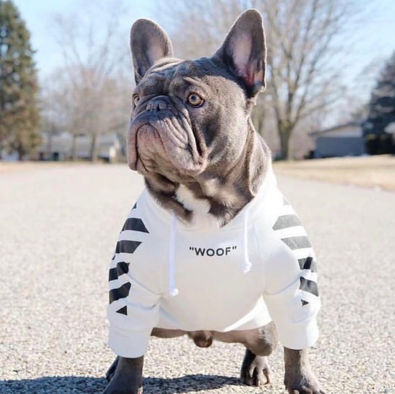 Schnauzer Jarre Aero Bull Pet Fashion Brand Ins Popular Dog Pattern Sweater Spoof Autumn and Winter Sports Dog Clothes Schnauzer Jarre Aero Bull Pet Fashion Brand Ins Popular Dog Pattern Sweater Spoof Autumn and Winter Sports Dog Clothes