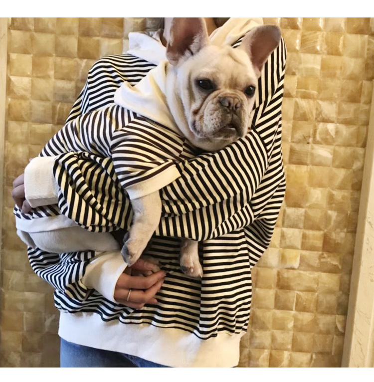 2020 Spring New Dog Terry Sweater Teddy Small Dog Fashion Brand Clothes Adult Pet Casual Parent-Child Clothes 2020 Spring New Dog Terry Sweater Teddy Small Dog Fashion Brand Clothes Adult Pet Casual Parent-Child Clothes