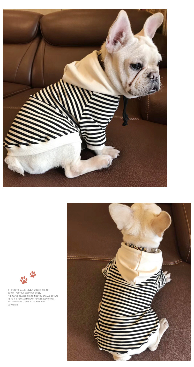 2020 Spring New Dog Terry Sweater Teddy Small Dog Fashion Brand Clothes Adult Pet Casual Parent-Child Clothes 2020 Spring New Dog Terry Sweater Teddy Small Dog Fashion Brand Clothes Adult Pet Casual Parent-Child Clothes