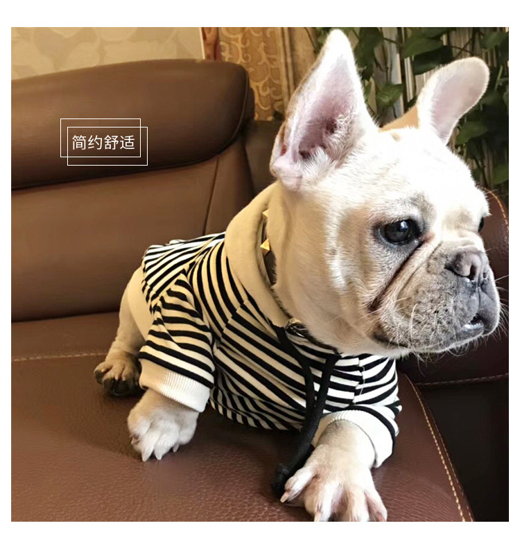 2020 Spring New Dog Terry Sweater Teddy Small Dog Fashion Brand Clothes Adult Pet Casual Parent-Child Clothes 2020 Spring New Dog Terry Sweater Teddy Small Dog Fashion Brand Clothes Adult Pet Casual Parent-Child Clothes