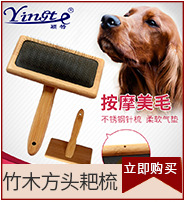 Pet Supplies Pet Toothbrush Dog Three Toothbrush Pet Oral Cleaning Large Dogs Supplies Toothbrush Pet Supplies Pet Toothbrush Dog Three Toothbrush Pet Oral Cleaning Large Dogs Supplies Toothbrush