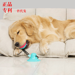Dog Molar Rod Dog Toothbrush Rubber Toothbrush Bite Toy Tooth Cleaning Pet Supplies