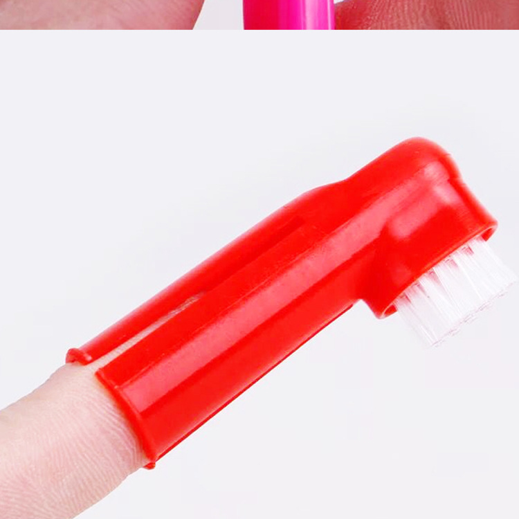 Pet Toothbrush Three-Piece Set Dogs and Cats Double-Headed Brush Finger Stall Brush Pet Cleaning Teeth Grinding Toothbrush Dog Toothbrush