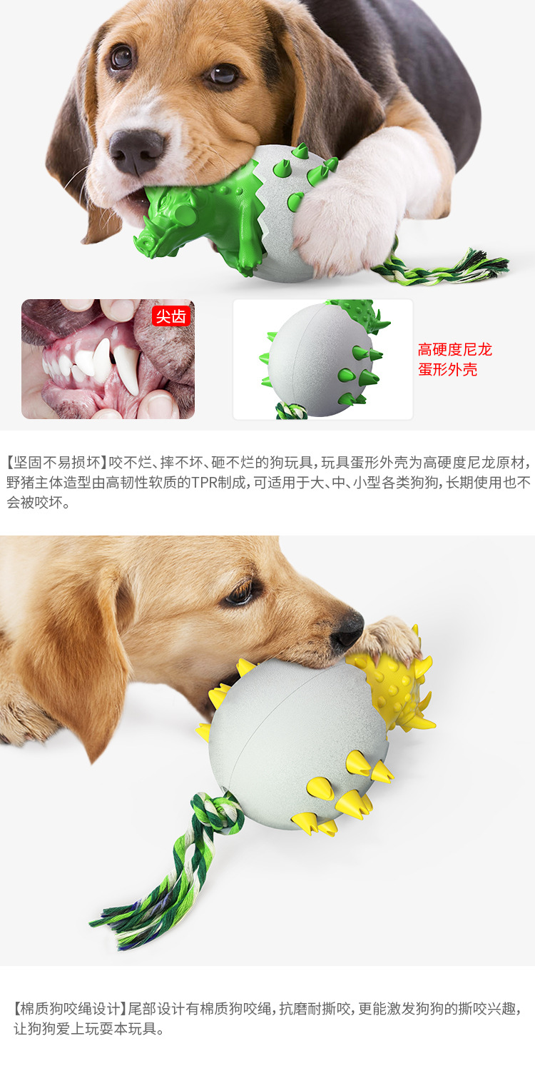 Pet Supplies Factory Home New Hot Amazon Cross-Border Molar Rod Dog Toothbrush Dog Toy Bite-Resistant Food Dropping Ball