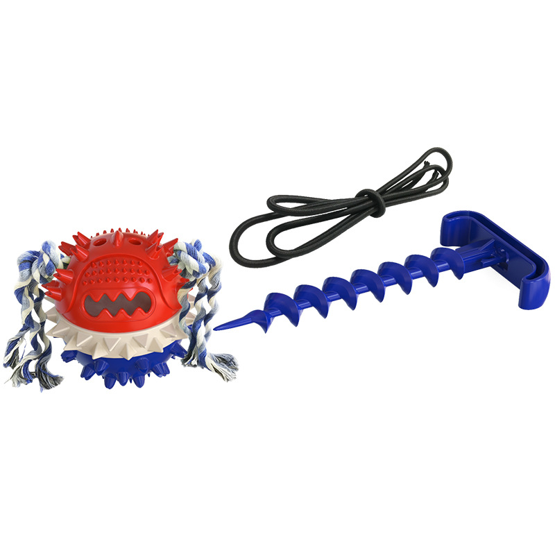 Pet Supplies Factory Wholesale Company New Popular Amazon Molar Long Throws Ring Dog Toy Toothbrush