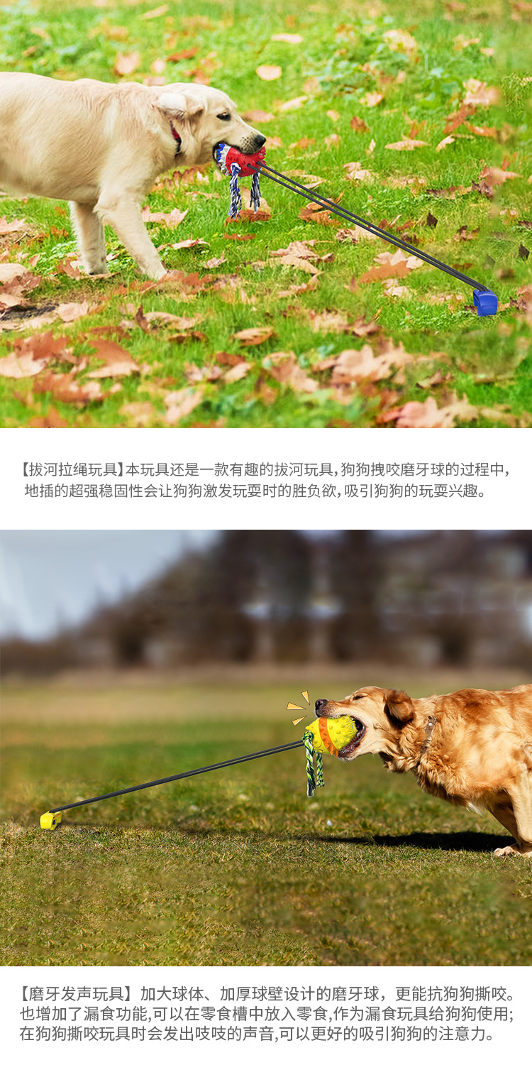 Pet Supplies Factory Wholesale Company New Popular Amazon Molar Long Throws Ring Dog Toy Toothbrush