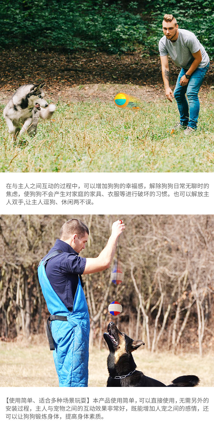 Pet Supplies Factory Wholesale Company New Popular Amazon Molar Long Throws Ring Dog Toy Toothbrush