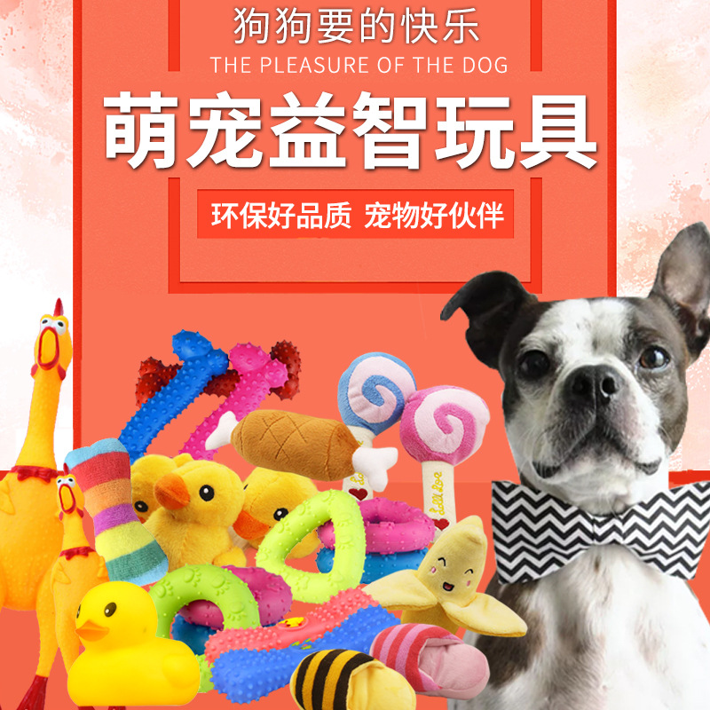 Pet Sounding Dog Toy Molar Long Lasting Toy Ball Training Teddy Kitten Puppy Dog Chew Pet Supplies