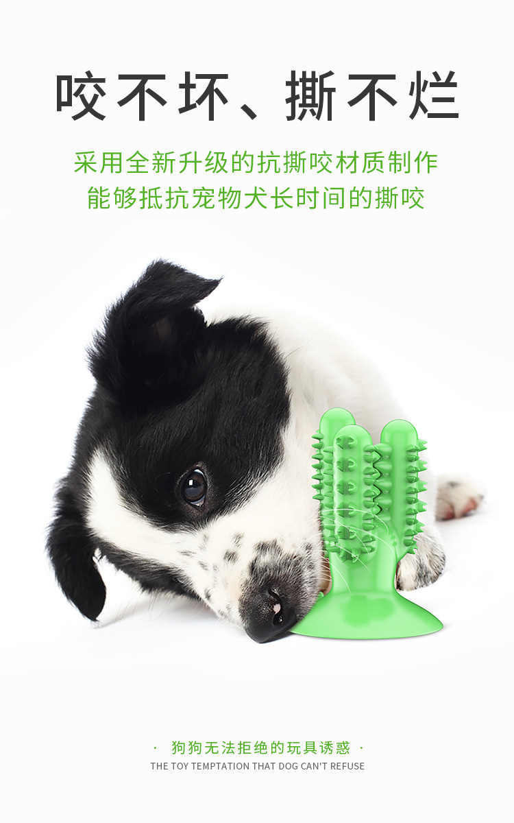 Pet Supplies New Amazon Hot Hot Sale Dog Toothbrush Dog Molar Rod Leakage Food Feeder Gnawing Resistant Dog Chew Toy Pet Supplies New Amazon Hot Hot Sale Dog Toothbrush Dog Molar Rod Leakage Food Feeder Gnawing Resistant Dog Chew Toy