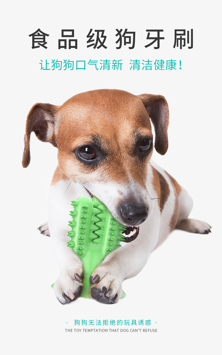 Pet Supplies New Amazon Hot Hot Sale Dog Toothbrush Dog Molar Rod Leakage Food Feeder Gnawing Resistant Dog Chew Toy Pet Supplies New Amazon Hot Hot Sale Dog Toothbrush Dog Molar Rod Leakage Food Feeder Gnawing Resistant Dog Chew Toy