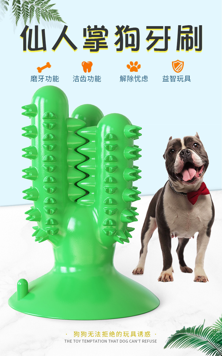 Pet Supplies New Amazon Hot Hot Sale Dog Toothbrush Dog Molar Rod Leakage Food Feeder Gnawing Resistant Dog Chew Toy Pet Supplies New Amazon Hot Hot Sale Dog Toothbrush Dog Molar Rod Leakage Food Feeder Gnawing Resistant Dog Chew Toy