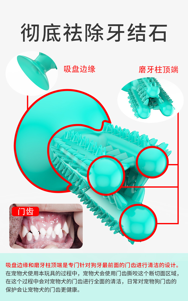 Pet Supplies New Amazon Hot Hot Sale Dog Toothbrush Dog Molar Rod Leakage Food Feeder Gnawing Resistant Dog Chew Toy Pet Supplies New Amazon Hot Hot Sale Dog Toothbrush Dog Molar Rod Leakage Food Feeder Gnawing Resistant Dog Chew Toy