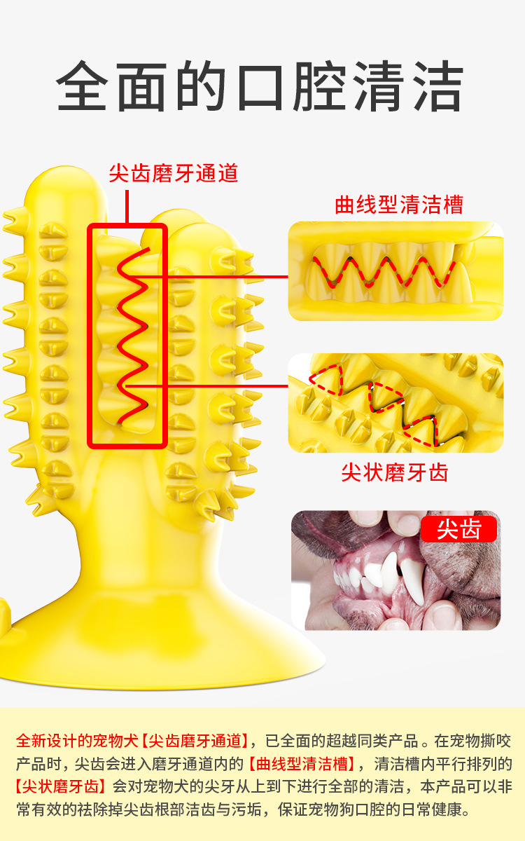 Pet Supplies New Amazon Hot Hot Sale Dog Toothbrush Dog Molar Rod Leakage Food Feeder Gnawing Resistant Dog Chew Toy Pet Supplies New Amazon Hot Hot Sale Dog Toothbrush Dog Molar Rod Leakage Food Feeder Gnawing Resistant Dog Chew Toy
