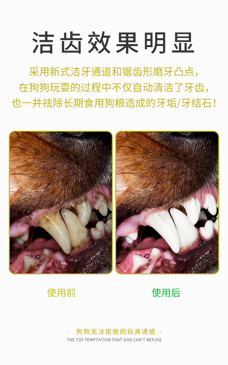 Pet Supplies New Amazon Hot Hot Sale Dog Toothbrush Dog Molar Rod Leakage Food Feeder Gnawing Resistant Dog Chew Toy Pet Supplies New Amazon Hot Hot Sale Dog Toothbrush Dog Molar Rod Leakage Food Feeder Gnawing Resistant Dog Chew Toy